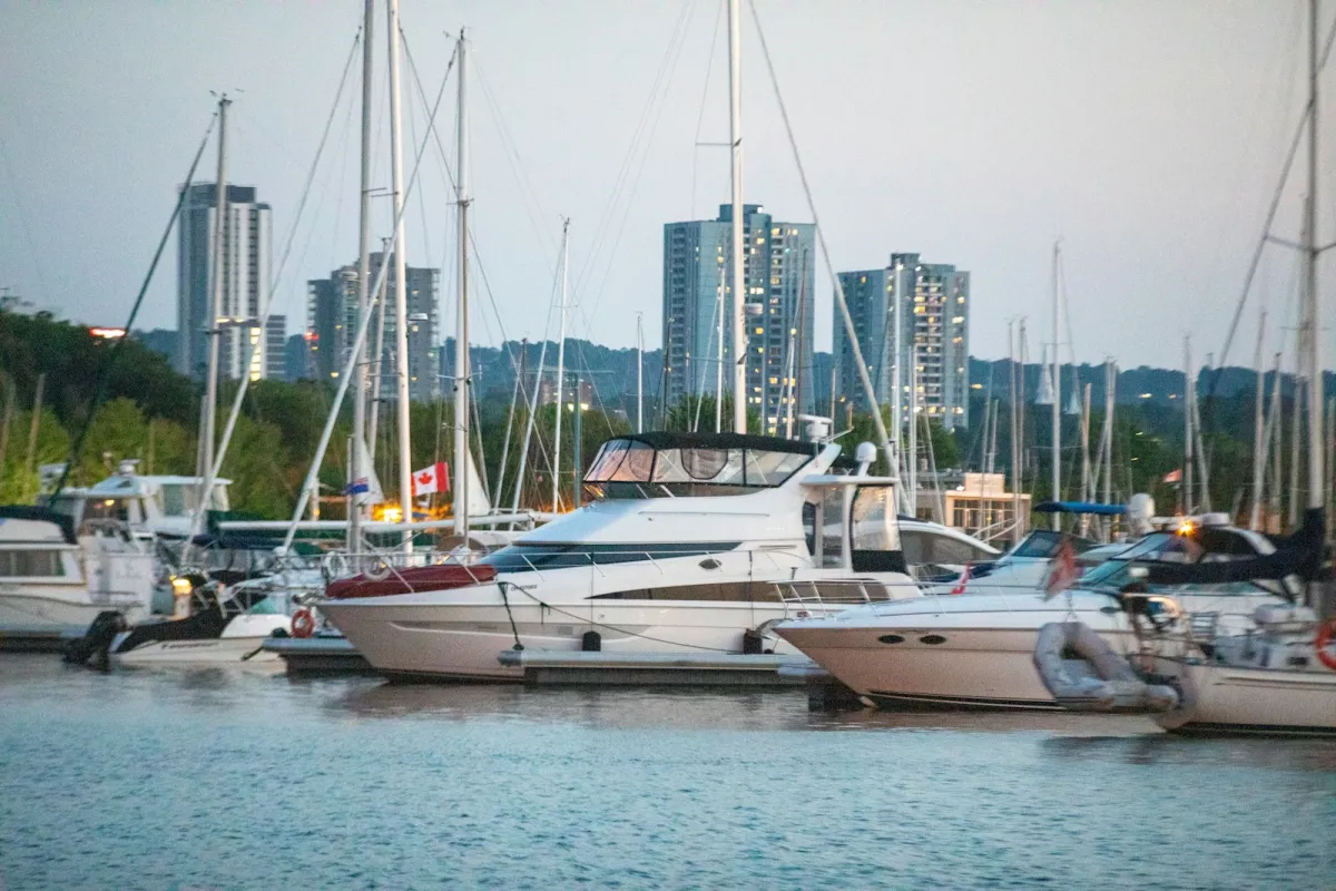 Yachts docked in a marina with a city skyline in the background